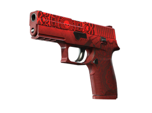 P250 | Покойник (Закалённое в боях)