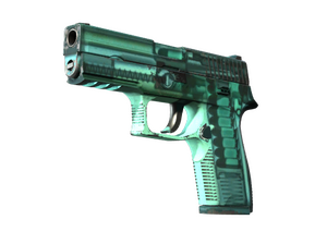 P250 | Рентген (После полевых испытаний)